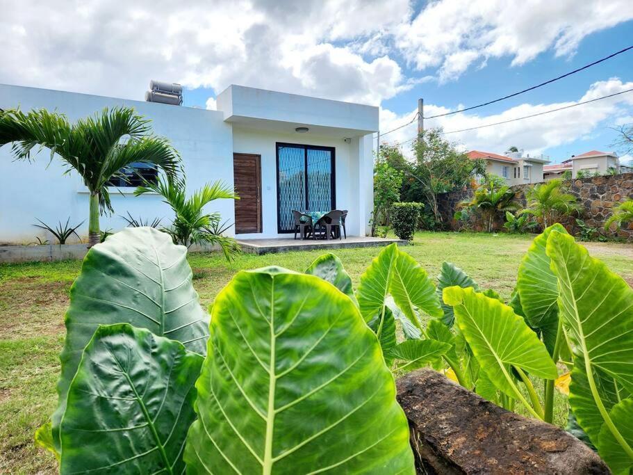 La Maison D'Isa Albion Kültér fotó